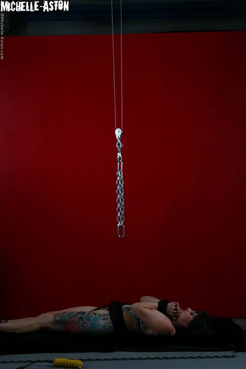 Michelle Aston: Brunette MILF Hangs Upside Down in Rope Bondage – photo 3 of 15