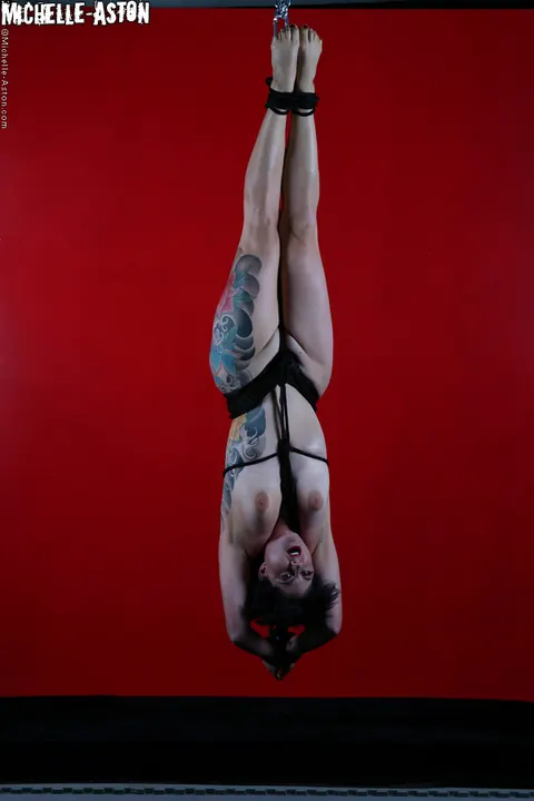 Michelle Aston: Brunette MILF Hangs Upside Down in Rope Bondage – photo 4 of 15
