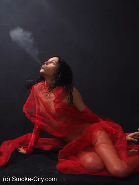 European Brunette Smokes a Cigarette While Nude – photo 2 of 16