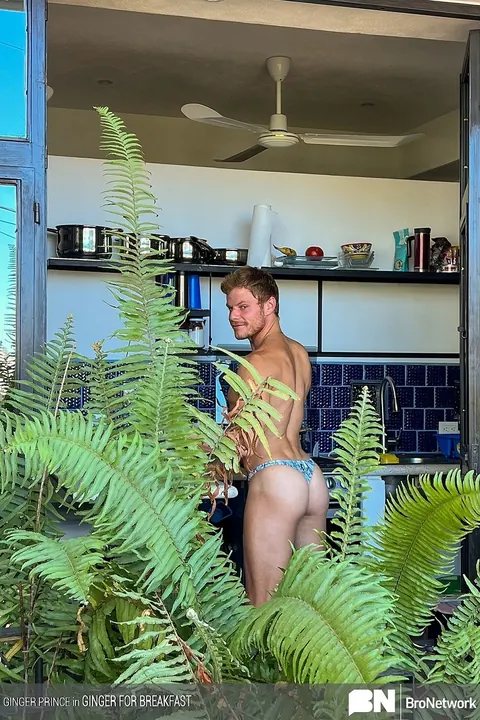 Redheaded Guy Poses Nude and Engages in Anal Play Outdoors – photo 5 of 20