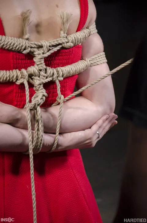 Mona Wales: Tall Blonde PAWG in a Skirt and Heels Bound in a Dungeon – photo 11 of 14