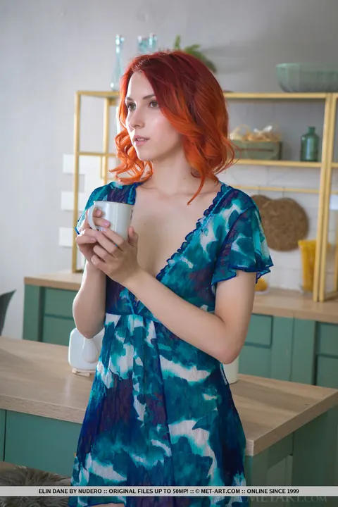 Elin Dane: European Redhead Strips Out of Her Skirt in the Kitchen – photo 1 of 18