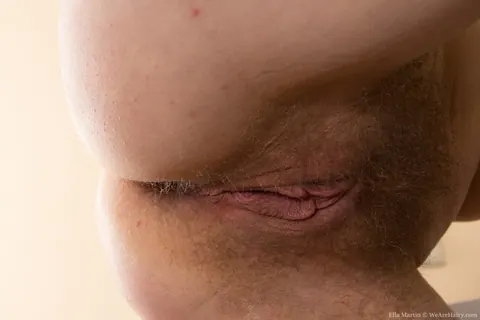 Ella Nickles: Brunette in Lingerie Pulls Panties Aside to Display Her Hairy Pussy – photo 11 of 16