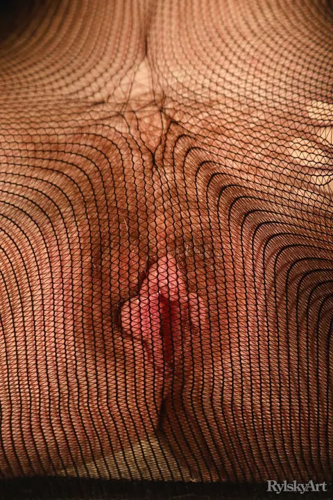 Ariana Mun: Brunette Strips Off Her Pantyhose and Spreads Her Hairy Pussy – photo 13 of 16