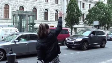 Brunette Masturbates with a Dildo in a Car After Hitchhiking