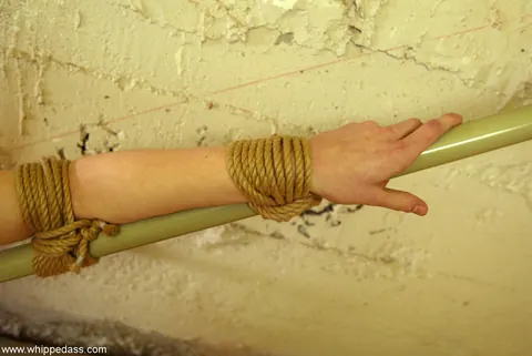 Audrey Leigh: Blonde in Jeans Dominates Shaved Partner in Lesbian Bondage – photo 7 of 15