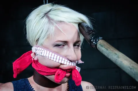 Dylan Phoenix: Blonde MILF in a Skirt Spreads in Bondage – photo 6 of 10
