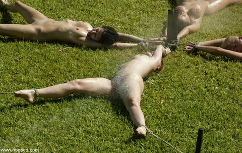 Dee Williams: Two Busty MILFs Bound in the Forest for Rope Bondage Use Vibrators – photo 10 of 21