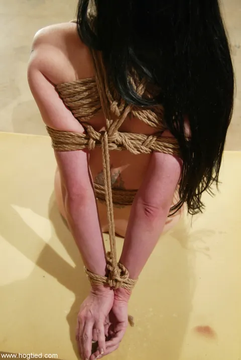 Shade Paine: Tattooed Brunette Gets Bound and Toyed in Lesbian BDSM – photo 1 of 21