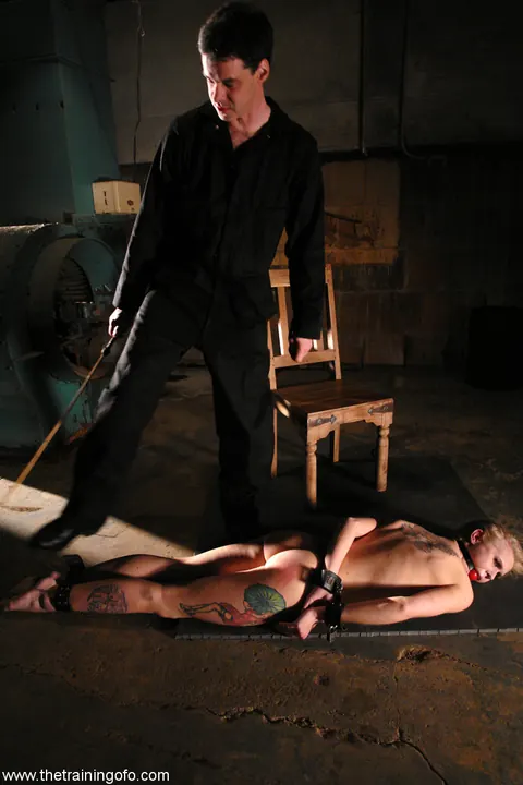 Sarah Jane Ceylon: Tall Blonde MILF Bound in BDSM Restraints – photo 13 of 20