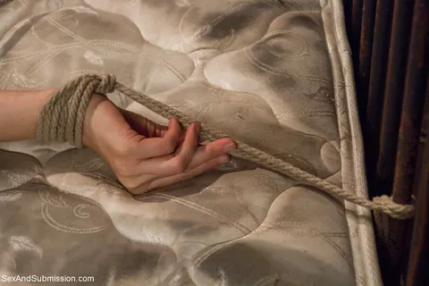 Julia Ann: Busty Mature Blonde Spreads While Tied Up in Bondage – photo 7 of 16