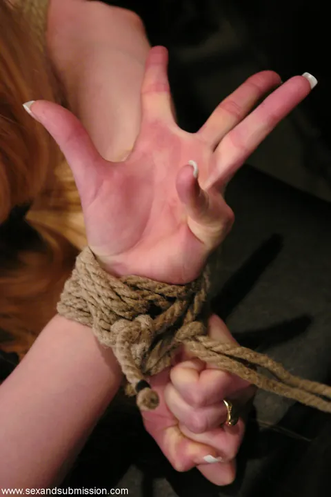Tawni Ryden: Blonde MILF Dominates Bound Partner in Bondage Sex – photo 18 of 21