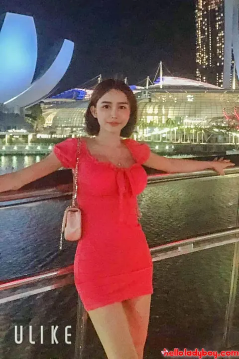 Asian Trans Woman Poses in Outfits Before Stripping Nude – photo 17 of 20