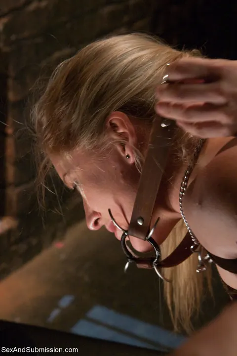 Dia Zerva: Blonde in Bondage Gives a Blowjob Before Anal Doggy Style – photo 12 of 20