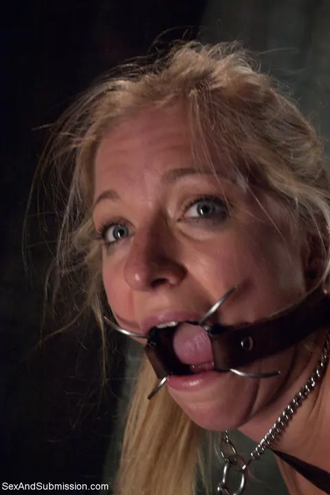 Dia Zerva: Blonde in Bondage Gives a Blowjob Before Anal Doggy Style – photo 20 of 20