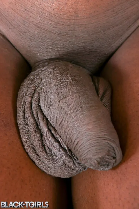 Ebony Trans Woman Bares Her Body in a Nude Session – photo 10 of 16