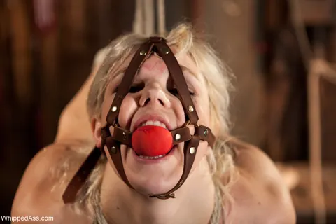 Alice Frost & Bobbi Starr: Blonde MILF Dominates Hairy Brunette in Bondage – photo 15 of 20