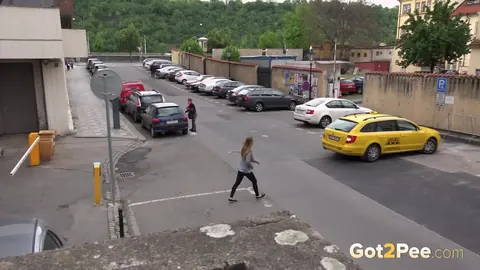 Blonde Spreads Her Shaved Pussy in Public – photo 15 of 15