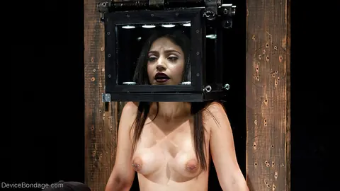 Rose Darling: Indian MILF Spreads Her Shaved Pussy in Bondage Box Training – photo 4 of 16