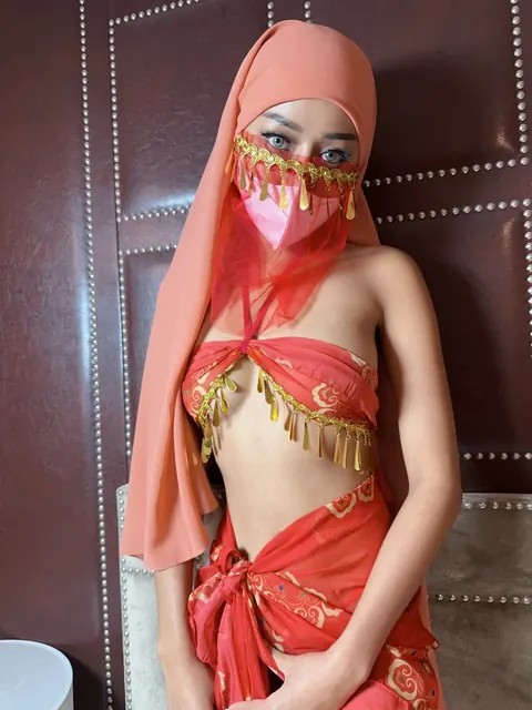 Slim Arab Woman Poses in Lingerie with a Veil Mask – photo 4 of 10