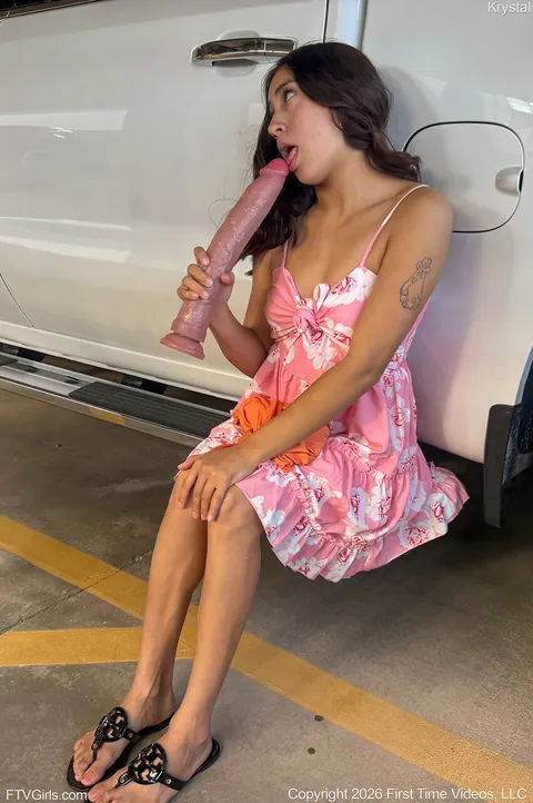 Brunette with a Tattoo Uses a Dildo in a Car – photo 7 of 15