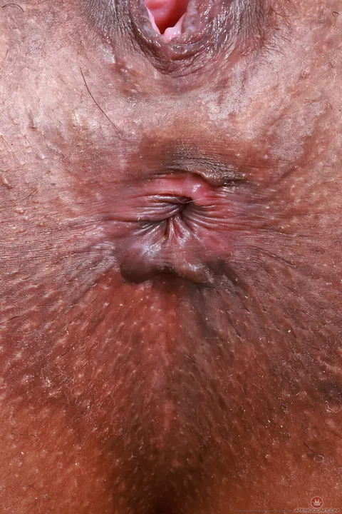 Thick Latina Spreads Her Pussy Lips – photo 17 of 21