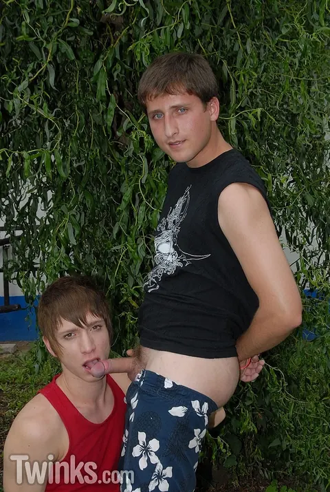 Slim Twink Sucks Cock and Gets Fucked Outdoors – photo 2 of 21