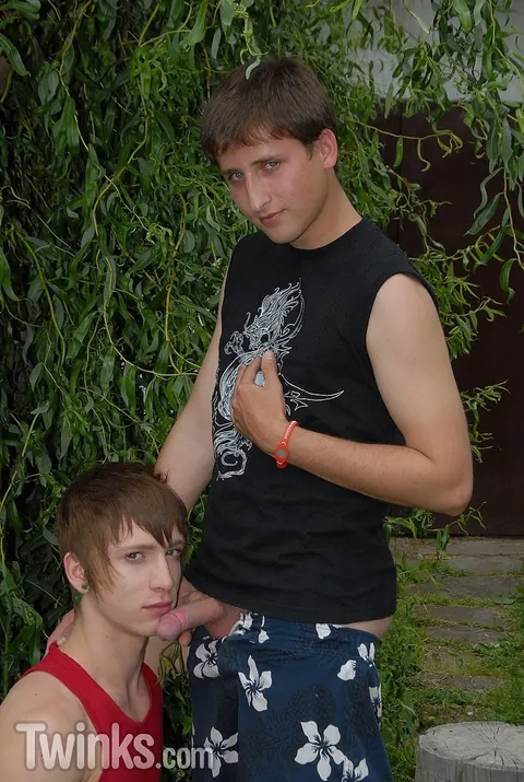 Slim Twink Sucks Cock and Gets Fucked Outdoors – photo 1 of 21