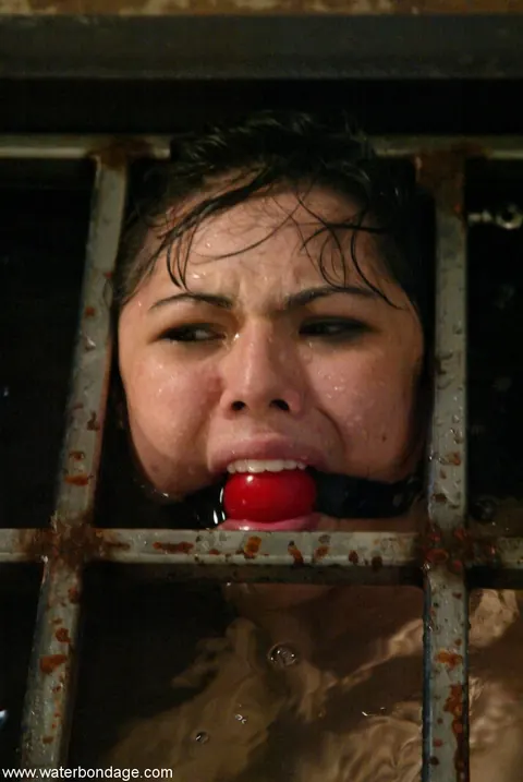 Asian MILF Bound and Exposed in Water Bondage – photo 11 of 21