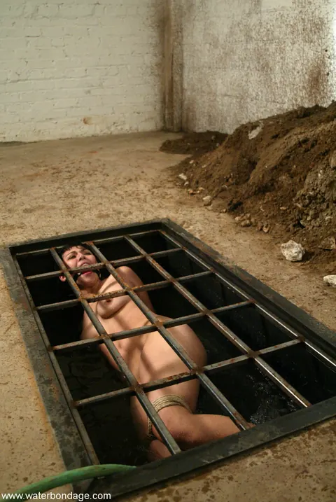 Asian MILF Bound and Exposed in Water Bondage – photo 8 of 21