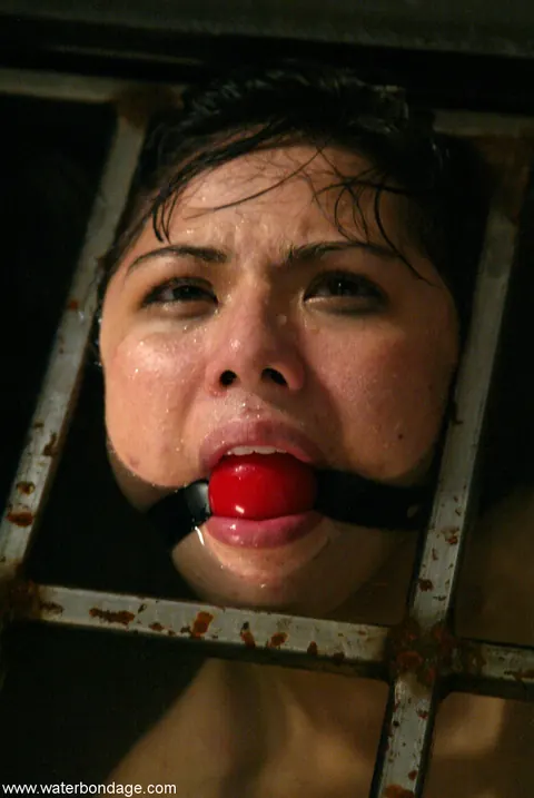 Asian MILF Bound and Exposed in Water Bondage – photo 15 of 21