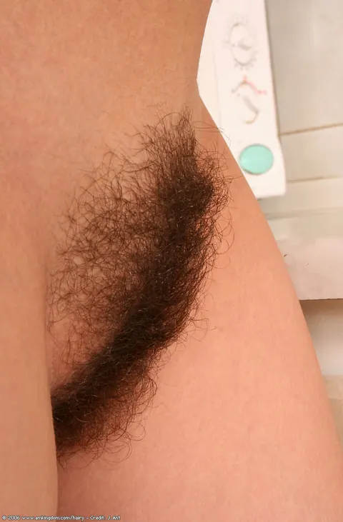 Brunette Strips and Spreads Her Hairy Pussy in the Kitchen – photo 11 of 20