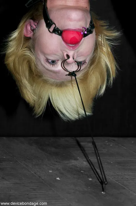 Miss Kitty: Blonde in Rope Bondage Takes a Dildo While Upside Down – photo 11 of 21