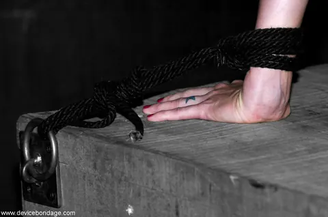Miss Kitty: Blonde in Rope Bondage Takes a Dildo While Upside Down – photo 9 of 21