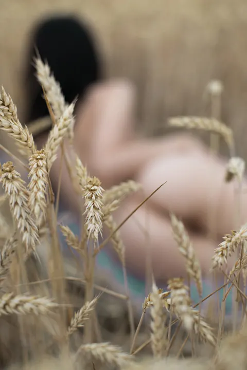 Skinny Amateur Strips and Poses Nude in a Wheat Field – photo 16 of 20