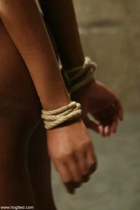 Slim Ebony Woman Gets Oiled and Uses a Dildo in Bondage – photo 6 of 20