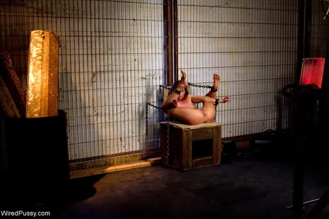 Ariel X: Bound Mature Brunette Takes a Fist and a Dildo in Lesbian BDSM – photo 2 of 20