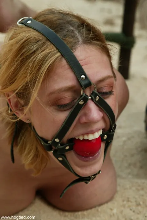 Dee Williams & Jenny Lee: Busty Blonde MILF and Skinny Brunette Get Hogtied – photo 8 of 21