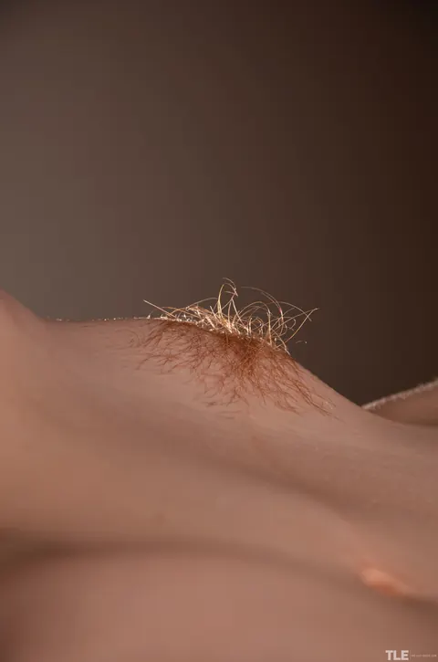 Slim Redhead Spreads Her Hairy Pussy Wide for the Camera – photo 9 of 21