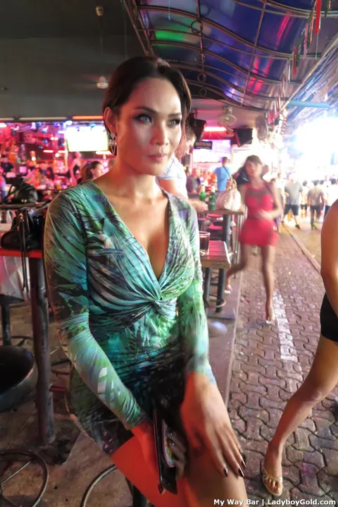 Tall Asian Trans Women Undress and Show Their Bodies – photo 10 of 17