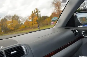 European Brunette Sucks and Fucks a Stranger in a Car