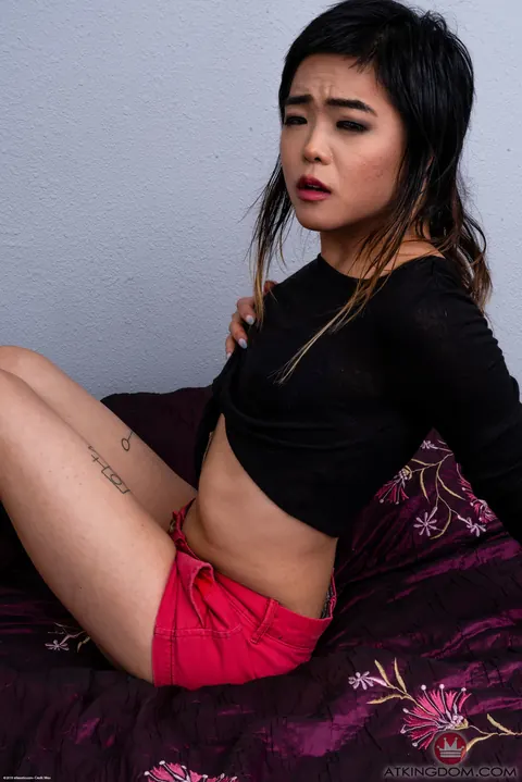 Roxane Lee: Petite Asian Brunette Strips Out of Her Shorts for Anal – photo 3 of 21