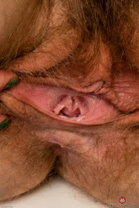 Lauren Laurent: Hairy Blonde PAWG in Pantyhose Takes Anal – photo 13 of 21