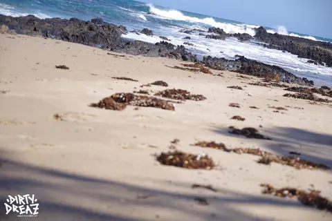 Anuskatzz: Tattooed Brunette Jerks and Sucks Cock in a Bikini on the Beach – photo 2 of 16