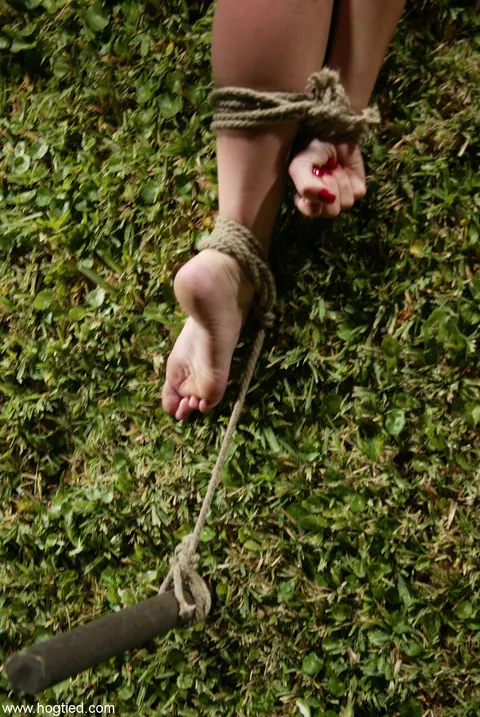 Christina Carter: Busty Brunette MILFs in Bondage Lick Pussy Outdoors – photo 1 of 20