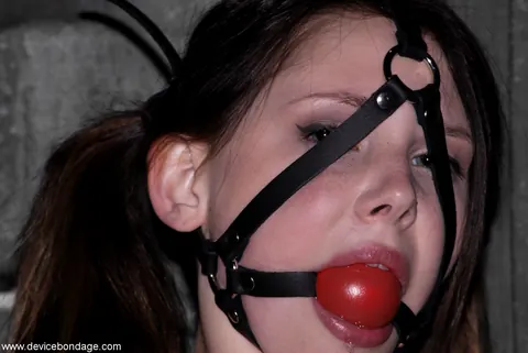 Sara Scott: Pale Busty Brunette Tied Up and Masturbates with a Dildo – photo 12 of 20