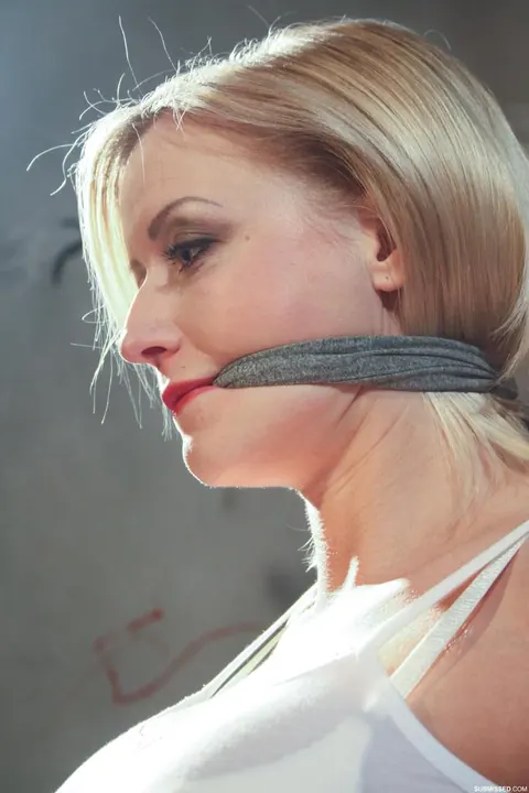 Vicktoria Redd: Blonde with Big Tits Tied Up and Gagged in Bondage – photo 8 of 16
