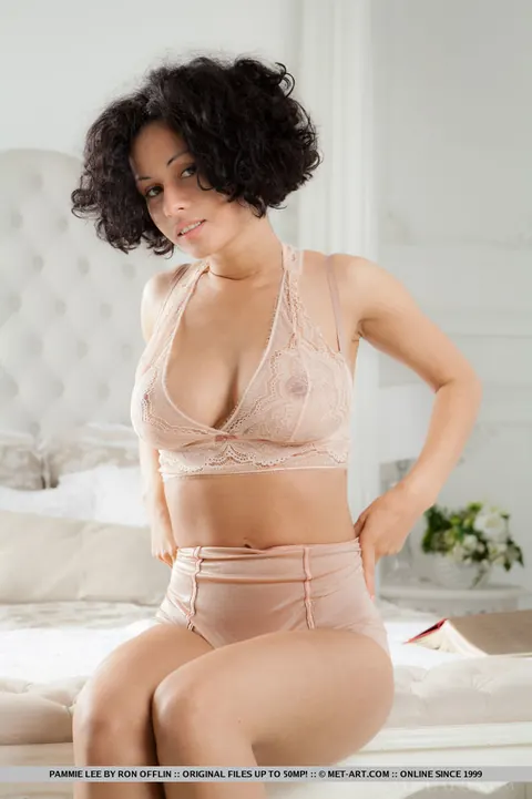 Pammie Lee: Busty Brunette in Sheer Lingerie Spreads Her Hairy Pussy – photo 8 of 18