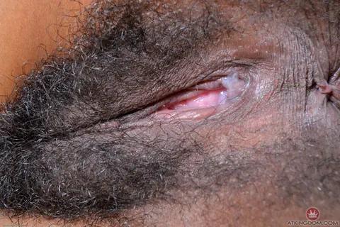 Kimmy Katt: Ebony Woman Spreads Her Hairy Pussy and Ass in Shorts – photo 13 of 16