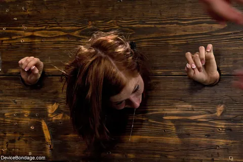 Charlie Ann: Redhead in Glasses Endures BDSM Ass Whipping in Pillory – photo 16 of 17